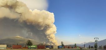 
Wildfire roars through town of Jasper, devastating 30%-50% of its structures