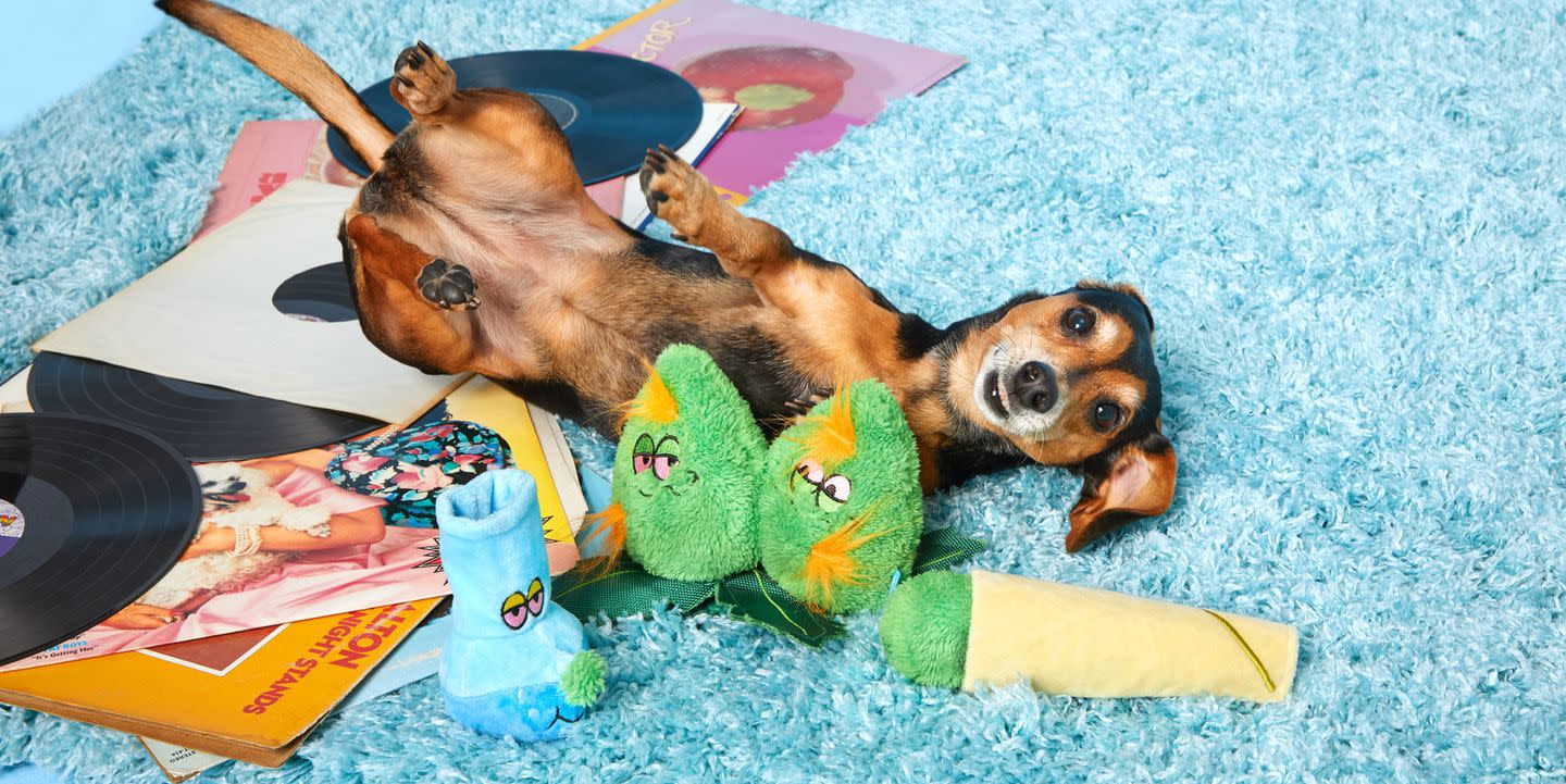 barkbox singapore