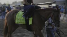 150th Kentucky Derby preview: Society Man