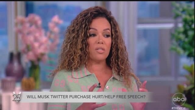“The View” co-host Sunny Hostin says Elon Musk’s rally for free speech on Twitte..