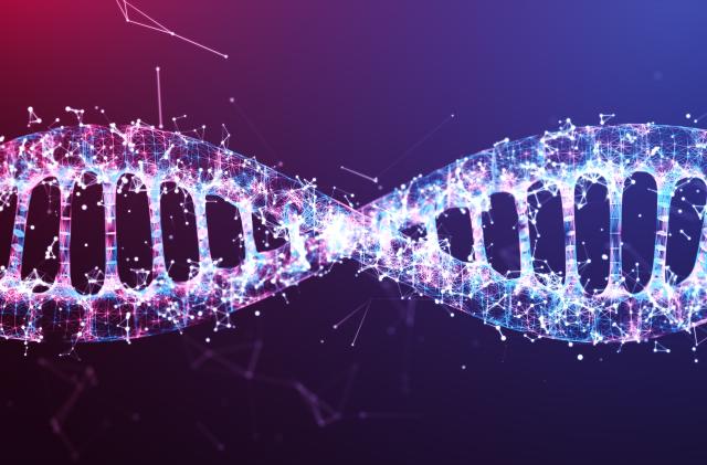 illustration DNA wire frame Futuristic digital  design,Abstract background for Business Science and technology