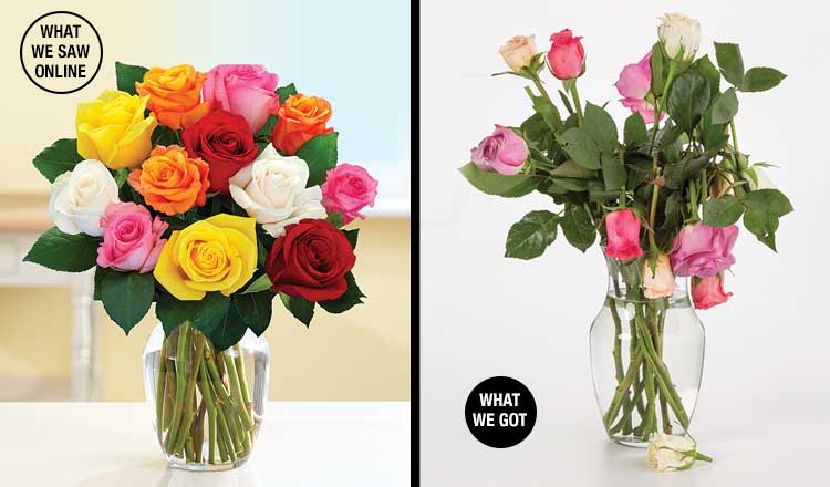 1-Dozen Multicolor Rose Bouquet - Flower Delivery NYC 