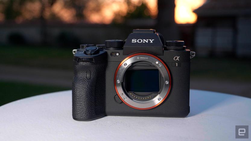 Sony A1 review: The Alpha of mirrorless cameras