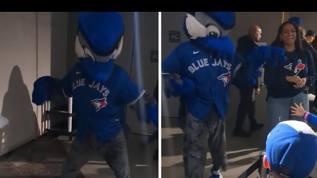 Toronto Blue Jays Mascot Ace, Greg's Southern Ontario