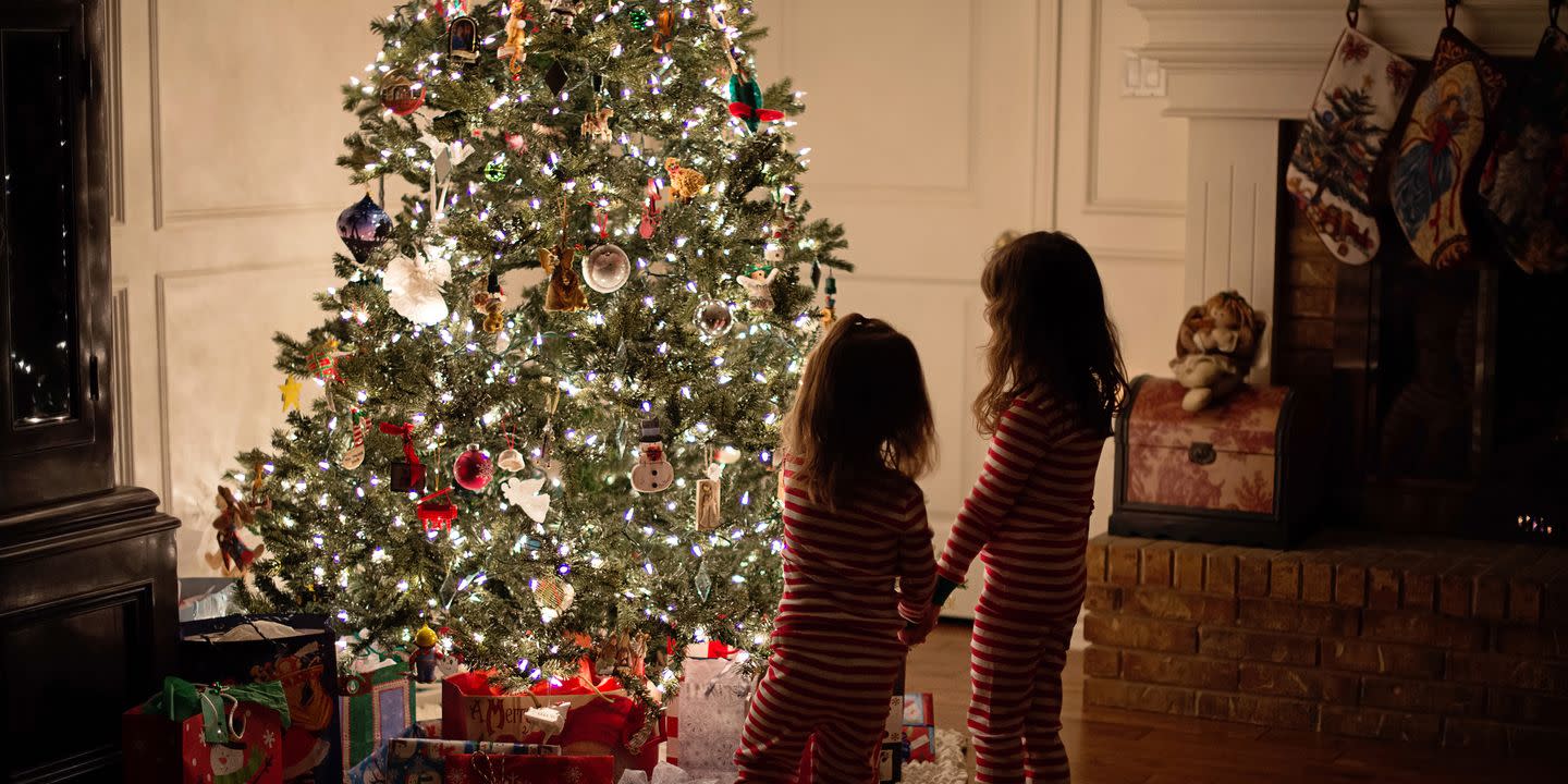 Do You Know the History of the Christmas Tree?