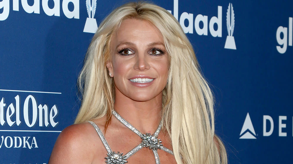 Britney Spears Attorney Slams Jamie Spears For Bullying Her Daughter And Looking For Private