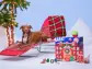 BARK Relaunches Fan-Favorite Advent Calendar for Dogs