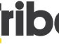 Tribe Appoints New Chief Financial Officer, Angelo Bartolini