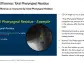 Benitec Biopharma Reports Continued Durable Improvements in the Radiographic Assessments of Swallowing Efficiency and the Subject-Reported Outcome Instrument at the 180-Day Timepoint for First OPMD Subject Treated with Low-Dose BB-301 in Phase 1b/2a Study