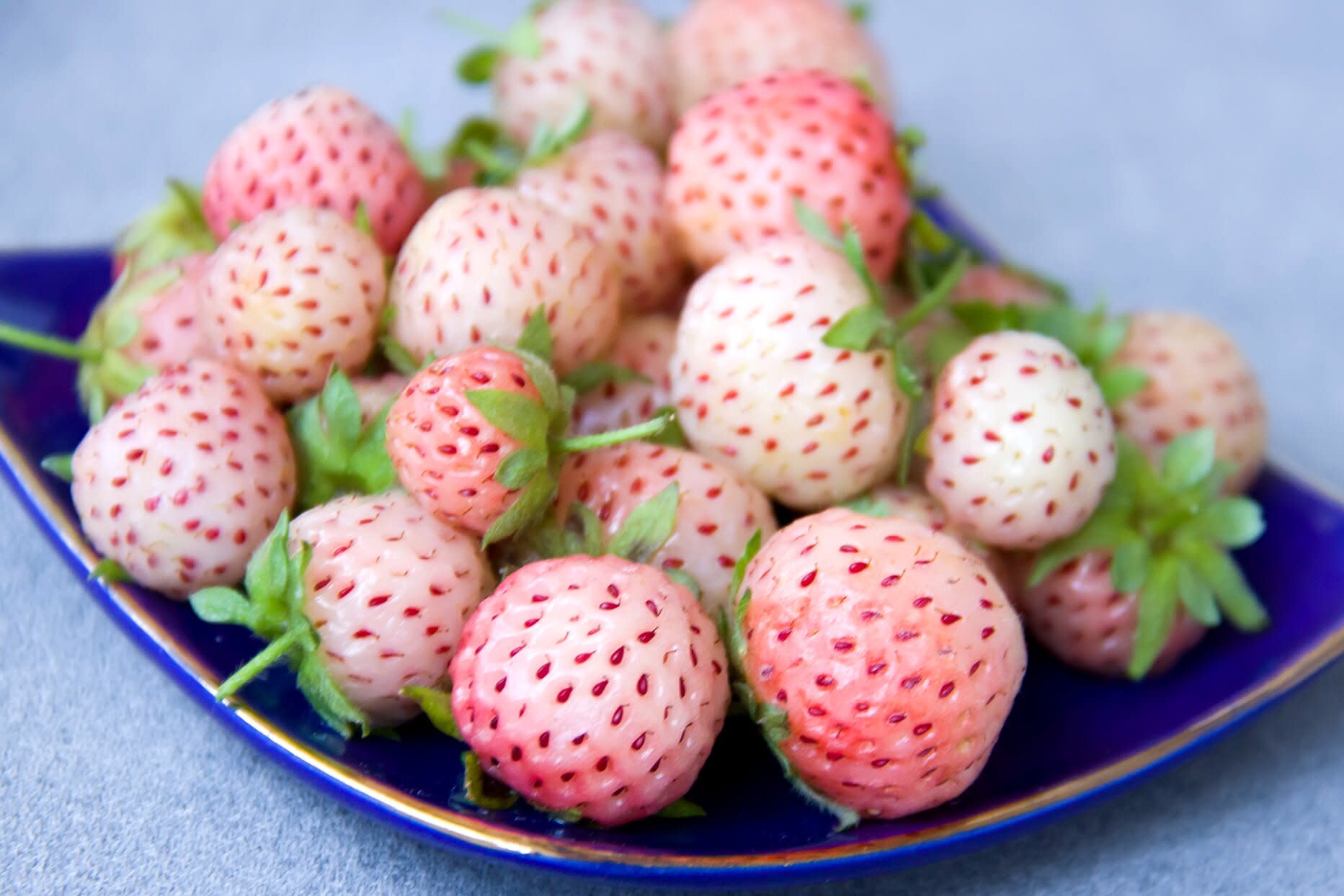 White Strawberries Are On Grocery Shelves In Florida What Are They