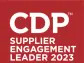 Toyoda Gosei Rated at Top Level in CDP Supplier Engagement Rating for Fifth Consecutive Year