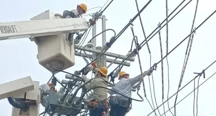 引進移工？台電基層轟恐出人命