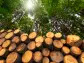 Factors Setting the Tone for Weyerhaeuser's (WY) Q1 Earnings