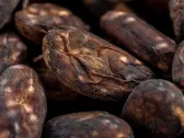 Cocoa Plunges Most Ever With Trader Exodus Sparking Huge Moves