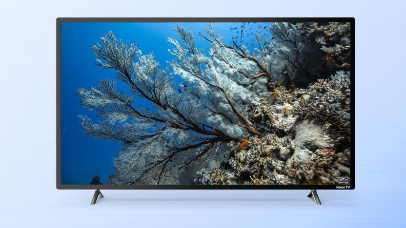 A 6-Series 8K TCL Roku TV showing an image of underwater flora.