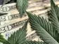 How cannabis stocks can win big with new policy changes