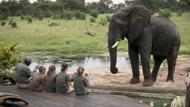 How to Plan an African Safari for Kids of All Ages