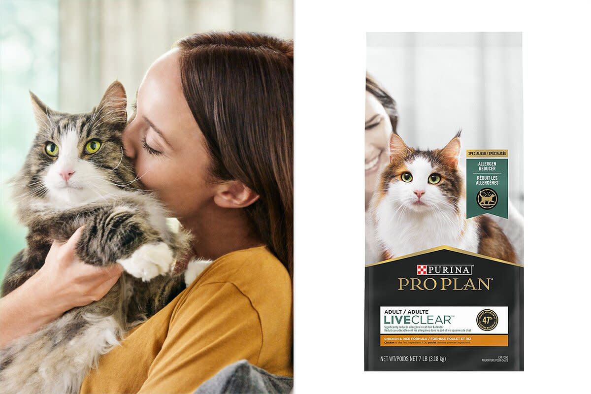 Purina Pro Plan Releasing Cat Food that Can Help Ease Cat Allergies in