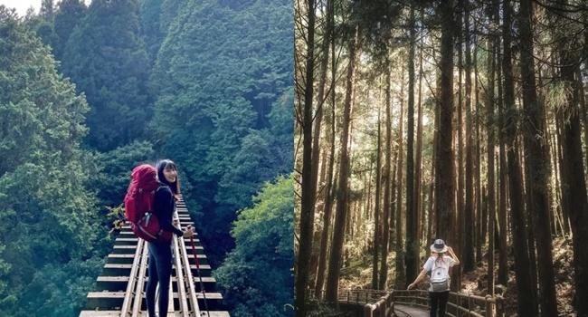 地震後崩壞⋯衝阿里山赫見祕境