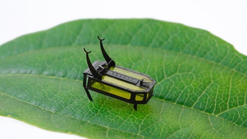 USC's micro-robot RoBeetle