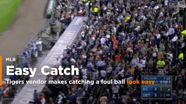 Tigers vendor makes catching a foul ball look ridiculously easy