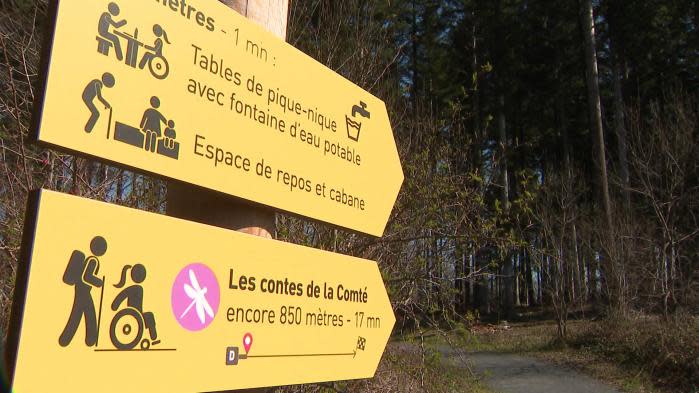 Un sentier accessible aux personnes handicapées dans la plus grande chênaie  d'Auvergne