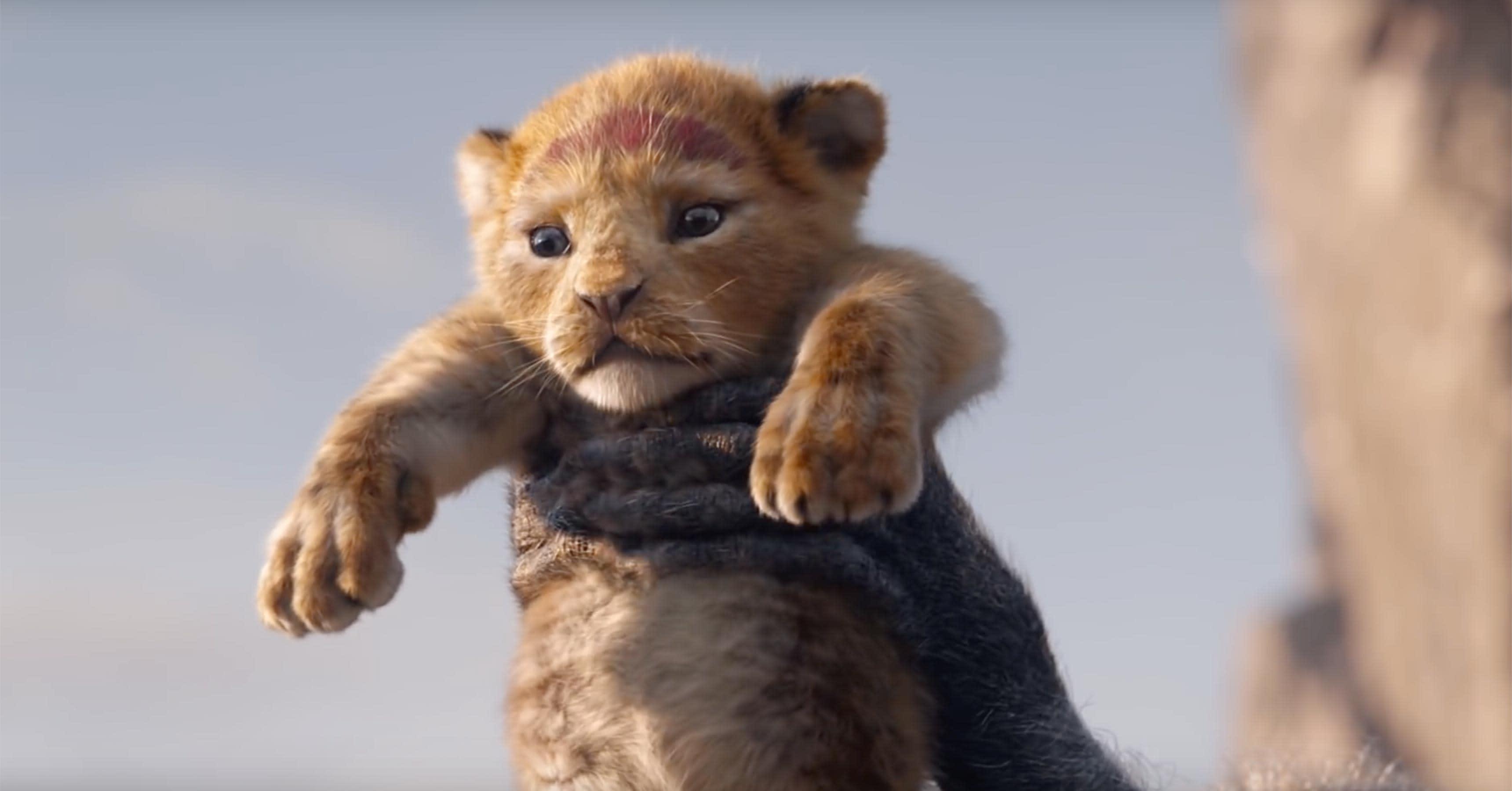 Circle of Life! Simba Rises as King in First Trailer for Disney's Live