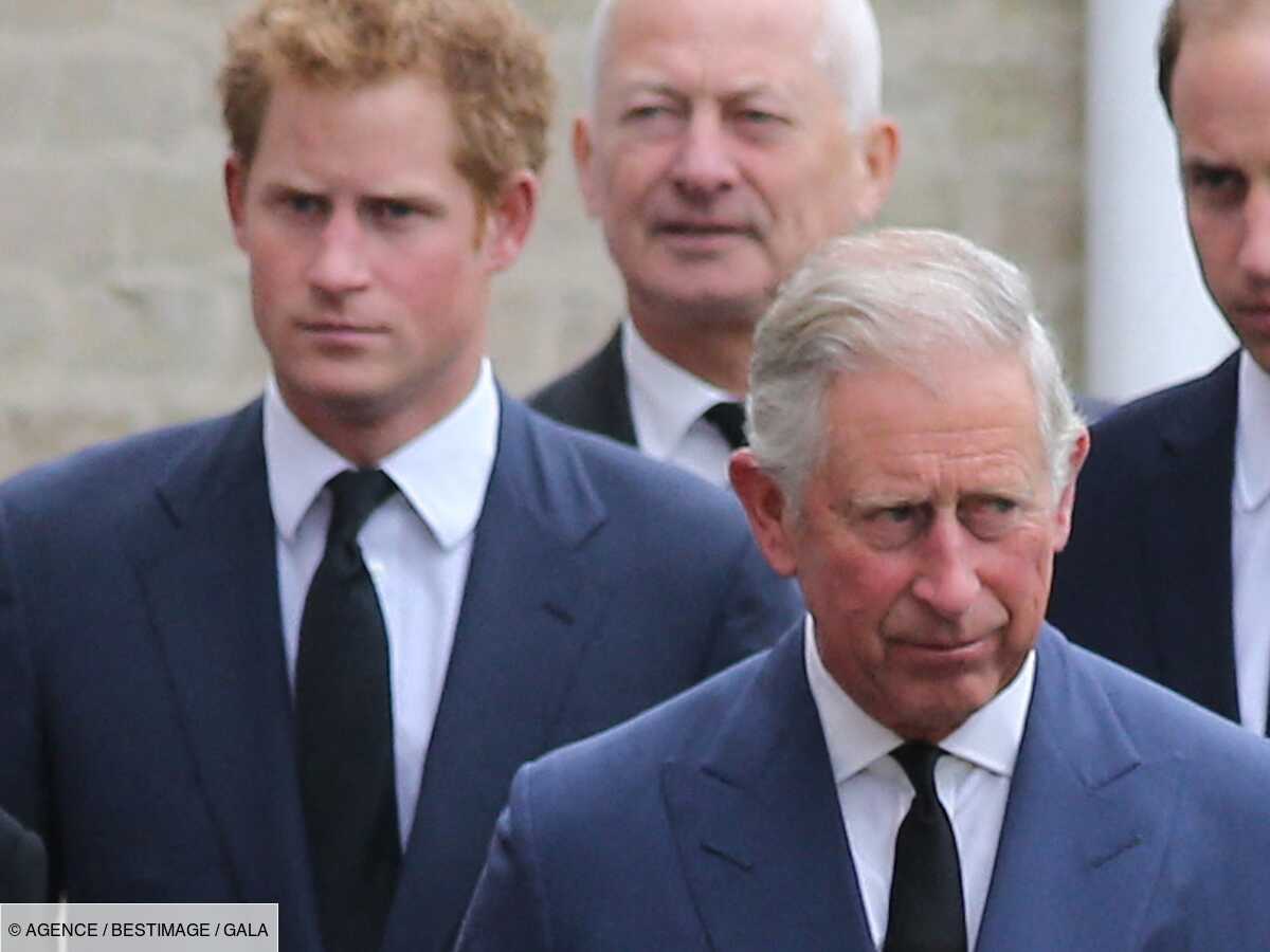 Le prince Charles « profondément blessé » : Harry a ouvert ...