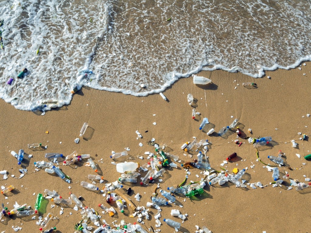 Cocacola bottles make up 16 per cent of plastic waste on UK beaches