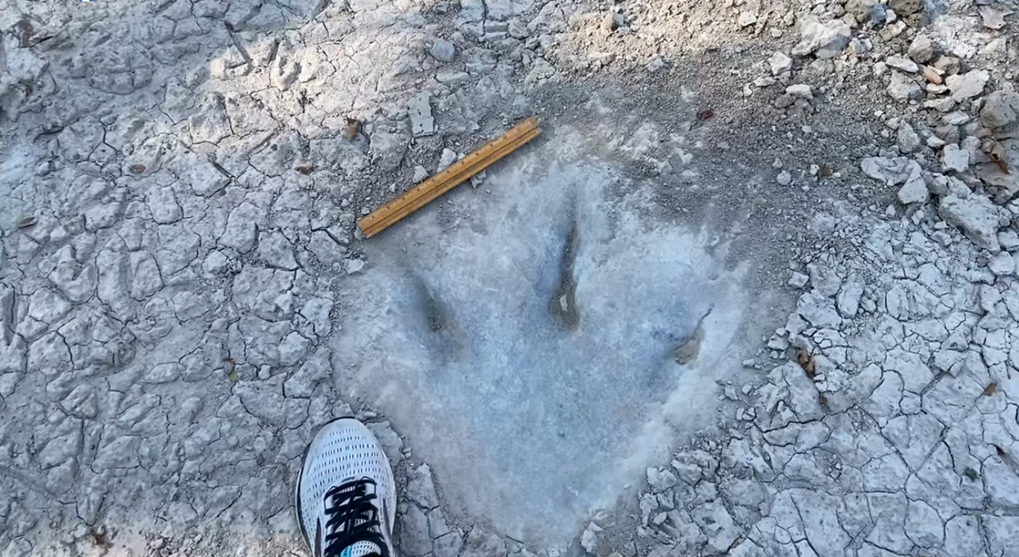 Huge dinosaur tracks uncovered as river dries in drought-stricken Texas, video s..
