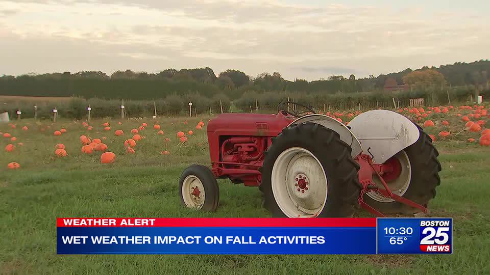 Weekend snowstorm good news for local businesses relying on winter