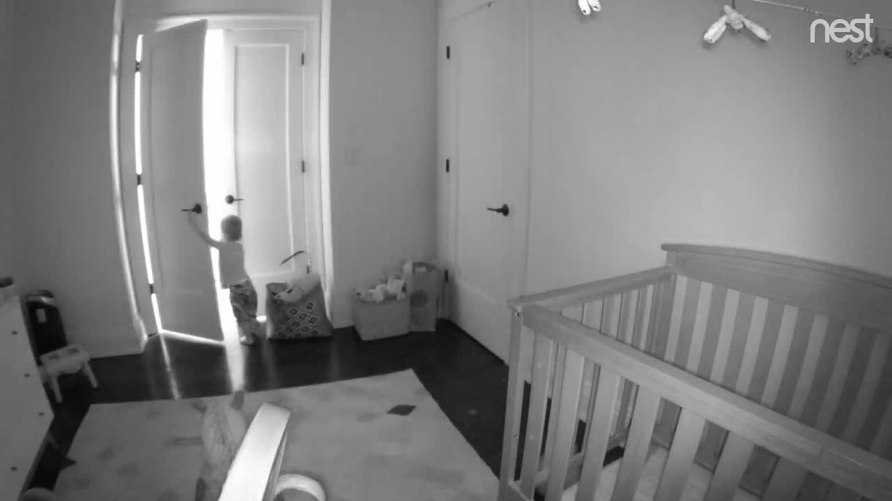 Wily Baby Escapes Her Crib After Parents Tighten Their Security