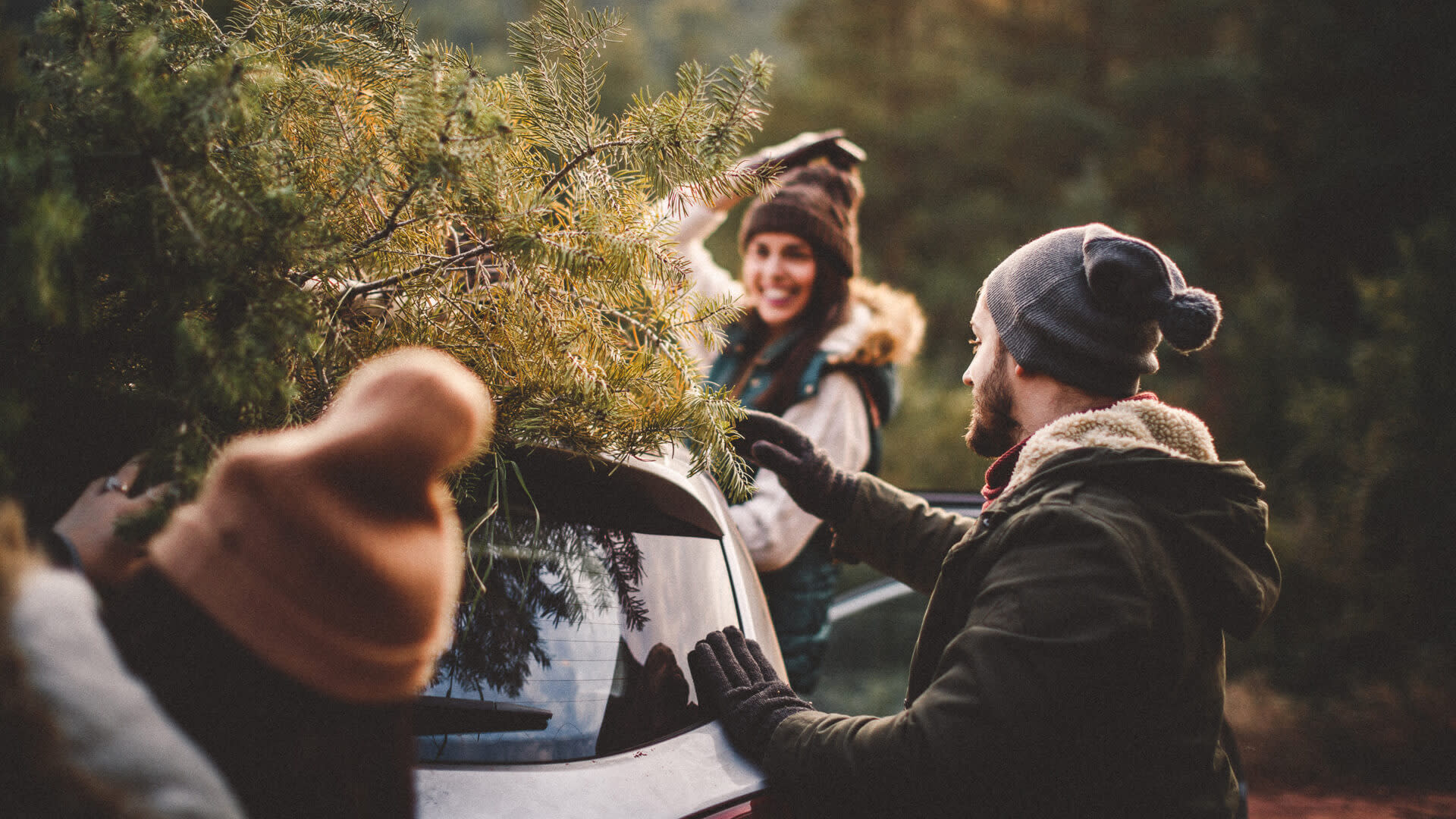 The Average Price Of Christmas Trees At Top Us Retailers