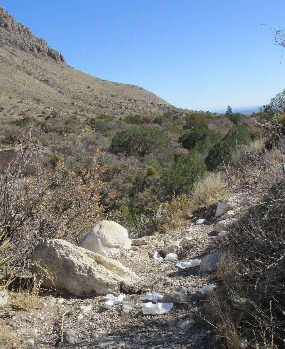 ‘Highest point in Texas is not a toilet.’ Human poop litters national park trail..