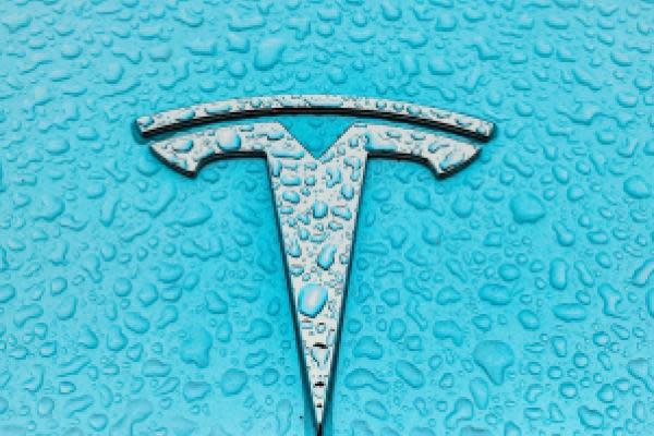Tesla Is Bleeding Battery EV Market Share to Ford’s Mustang Mach-E: Morgan Stanley
