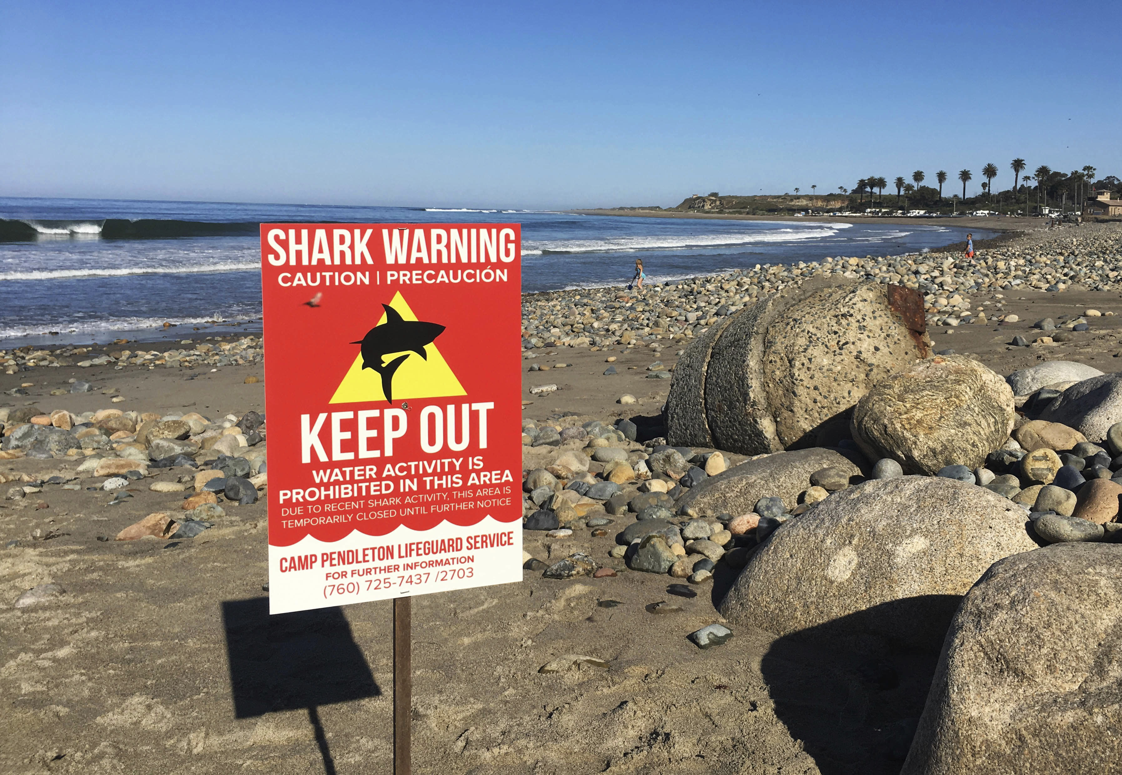 Swimmer injured in shark attack at Southern California beach