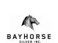 Bayhorse Silver Corporate Update