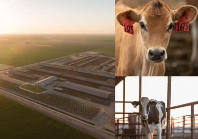 Research Shows California Dairy Farms Reducing Environmental Footprint - Yahoo Finance