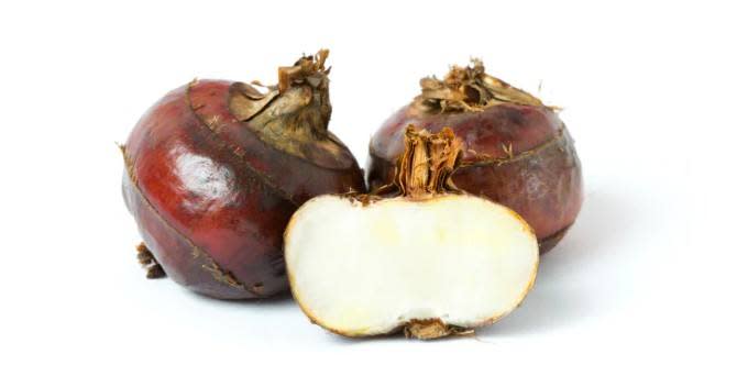 Water Chestnuts During Pregnancy Health Benefits And 5 Recipes Your Must Try