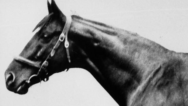 June 11, 1919 - The first Triple Crown