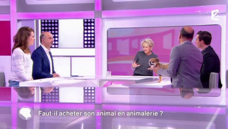 C\u002639;est au programme : Sophie Davant reprend s\u00e8chement un 