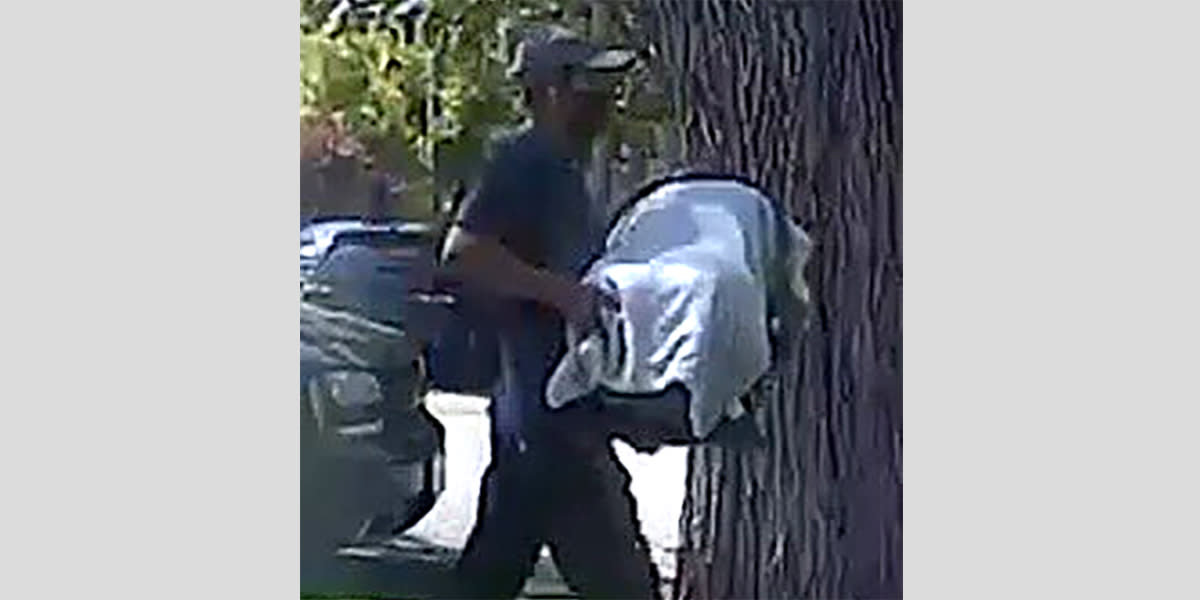 3-month-old kidnapped as grandmother unloaded groceries in California, police sa..