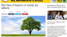 M5s, Casaleggio lancia iniziativa: piantiamo migliaia di alberi