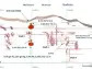 North Peak Reports Assay Results of 14.9 g/t Gold Over 1.2 Meters (incl. 49 g/t Gold over 0.4 Meters) from Previously Drilled but Un-Assayed Core Hole at Prospect Mountain; Separate 8.0% Zinc Intersection over 7 Meters