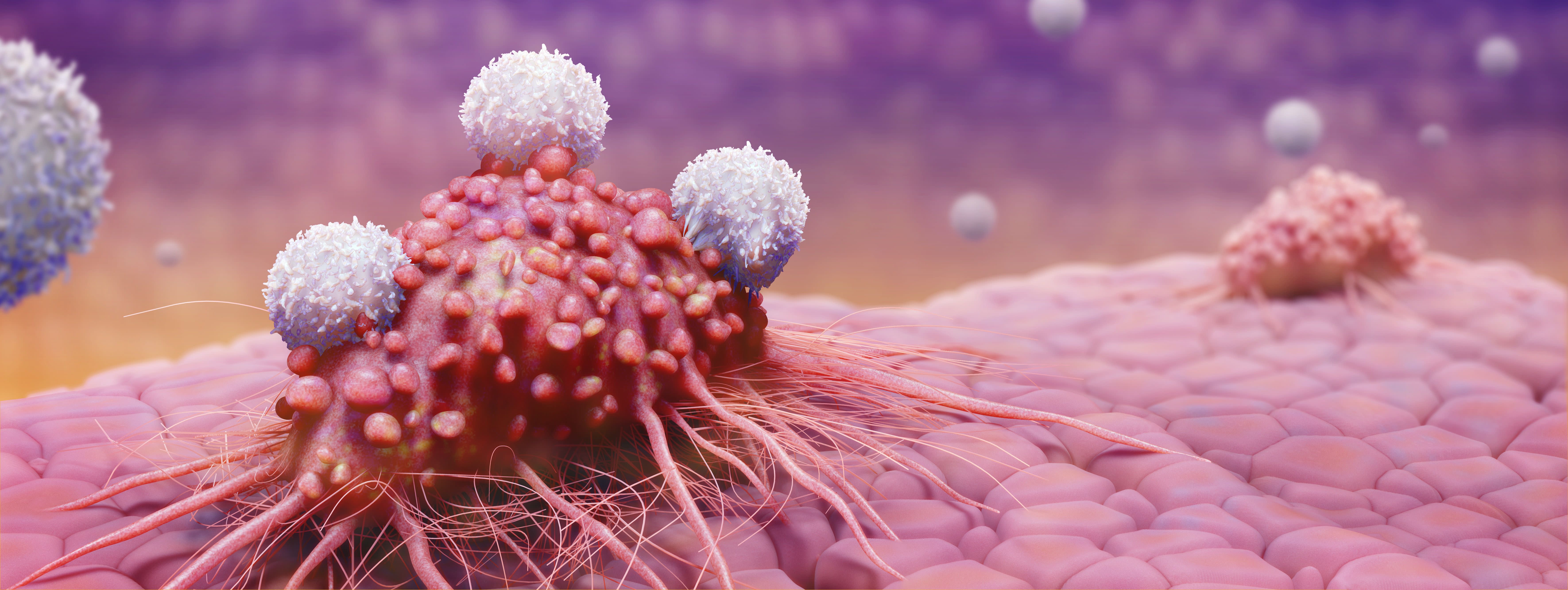 Scientists Just Made a Major Breakthrough in Personalized Cancer Treatment