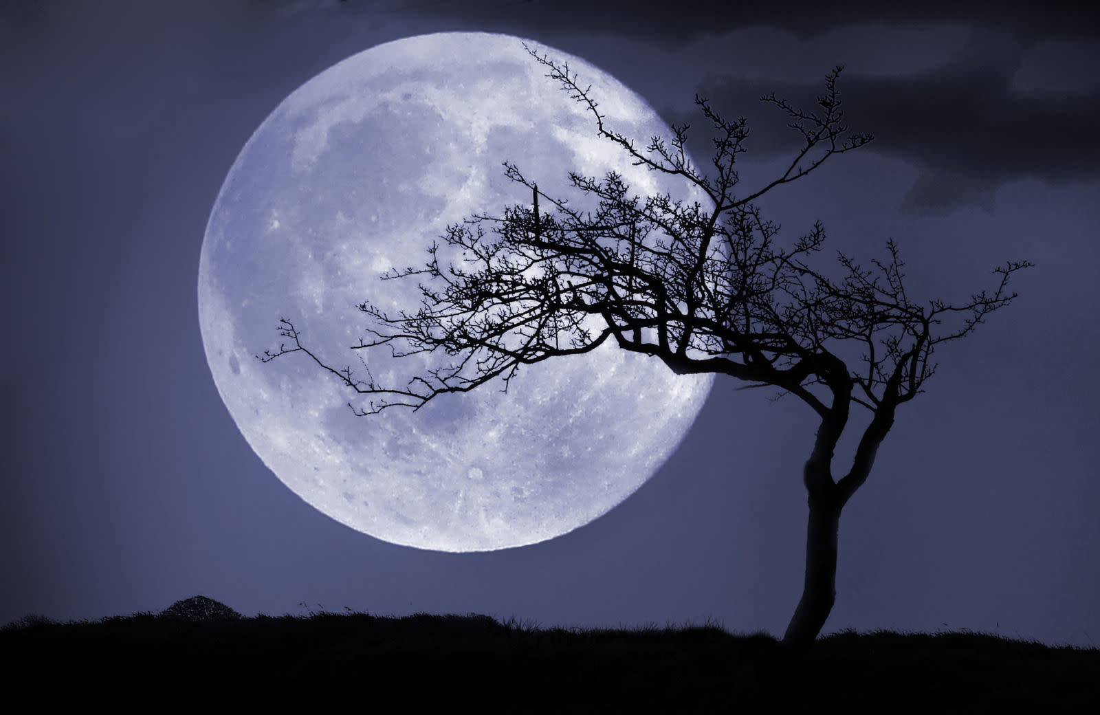 All the Different Types of Full Moons and What They Mean