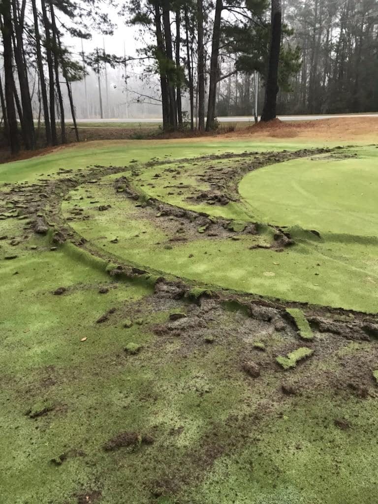 No. 11 green at The Golf Club of Summerbrooke damaged by truck's deep tire gouge..