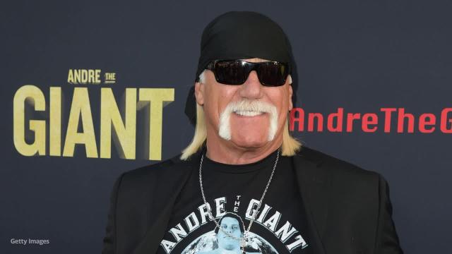 Hulk Hogan settles sex tape lawsuit with Cox Radio