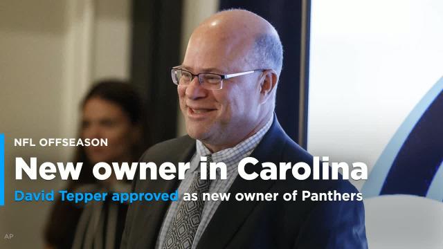 NFL approves David Tepper as new owner of Carolina Panthers