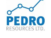 Pedro Resources Ltd. Appoints Interim Chief Financial Officer